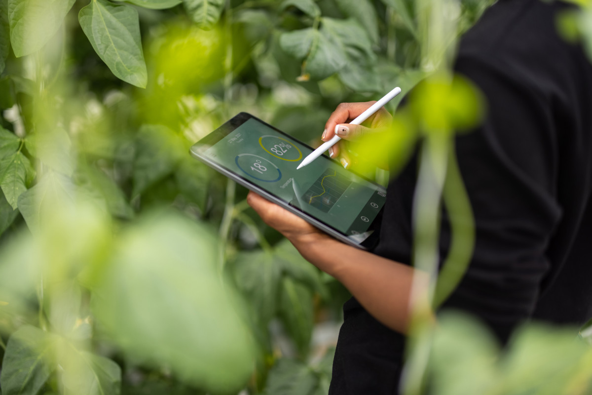 Makler mit Tablet in der Hand und vor Pflanzen stehend.